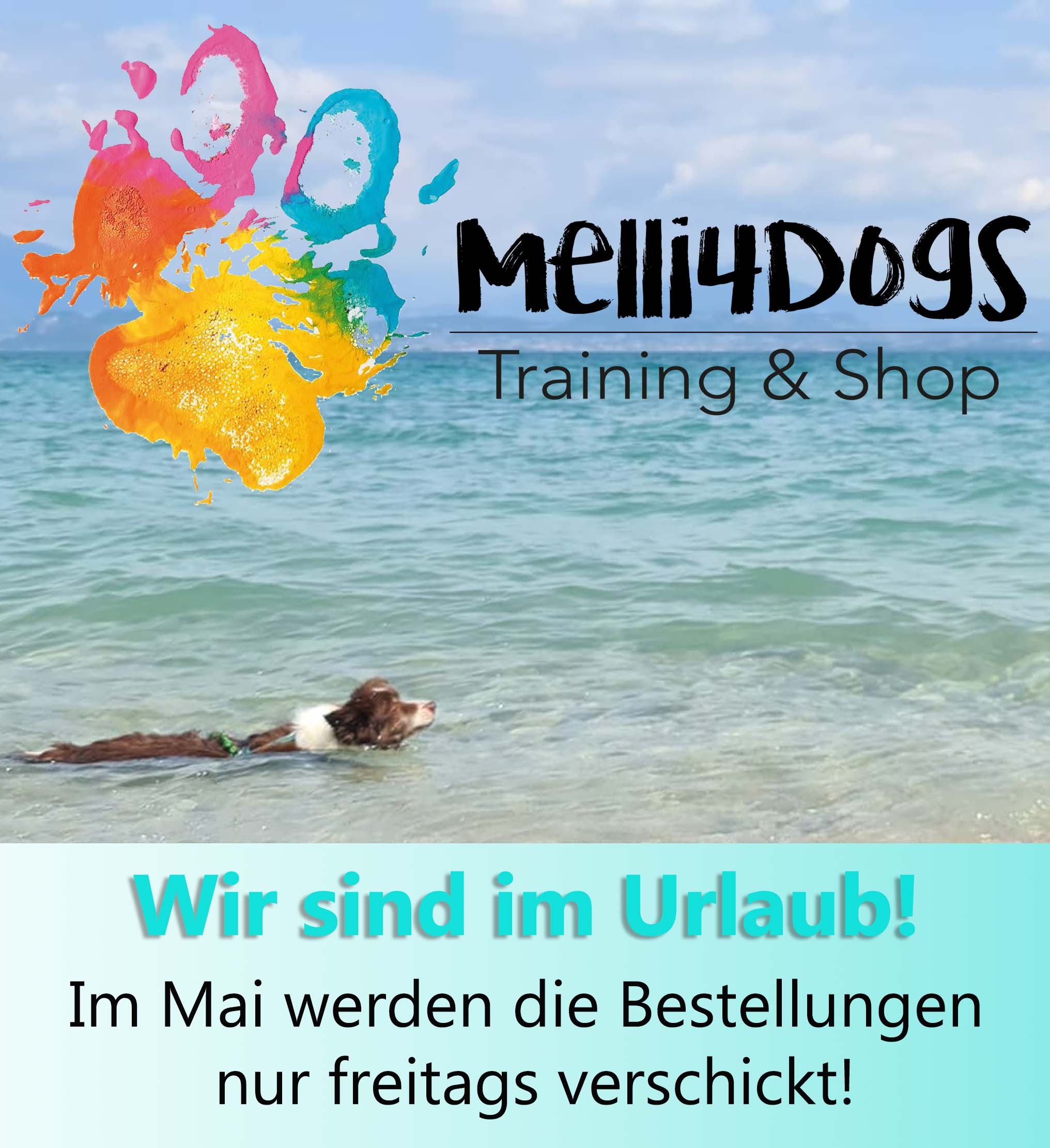 Melli4Dogs Shop Mobil