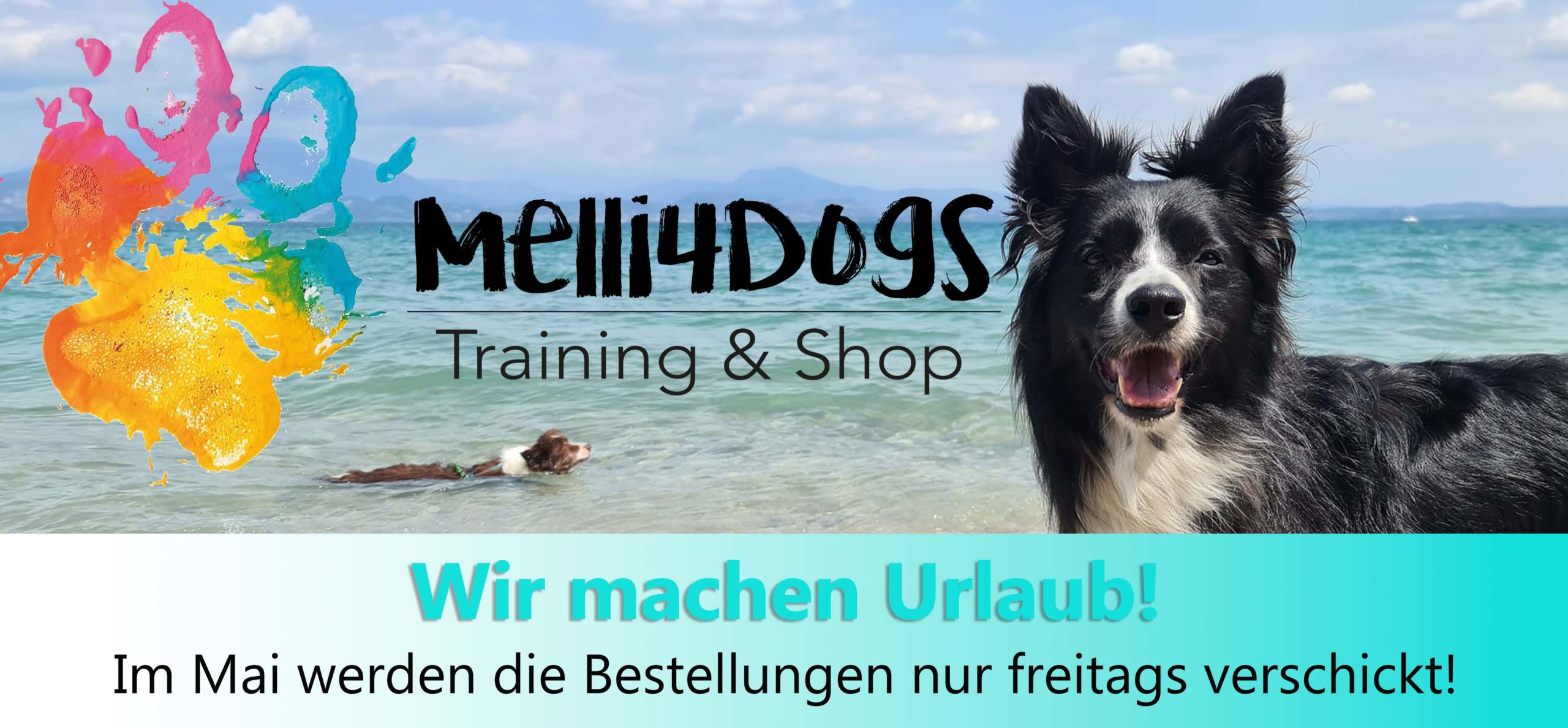 Melli4Dogs Shop
