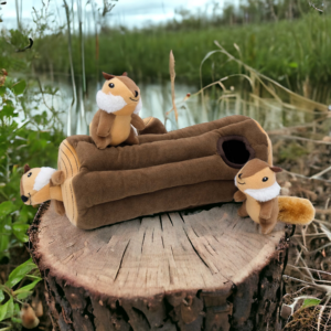 Baumstamm mit 3 Chipmunks