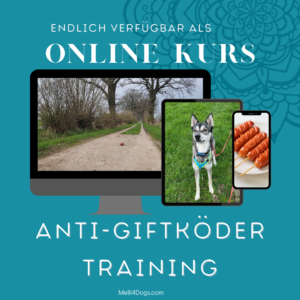 Anti-Giftköder-Kurs