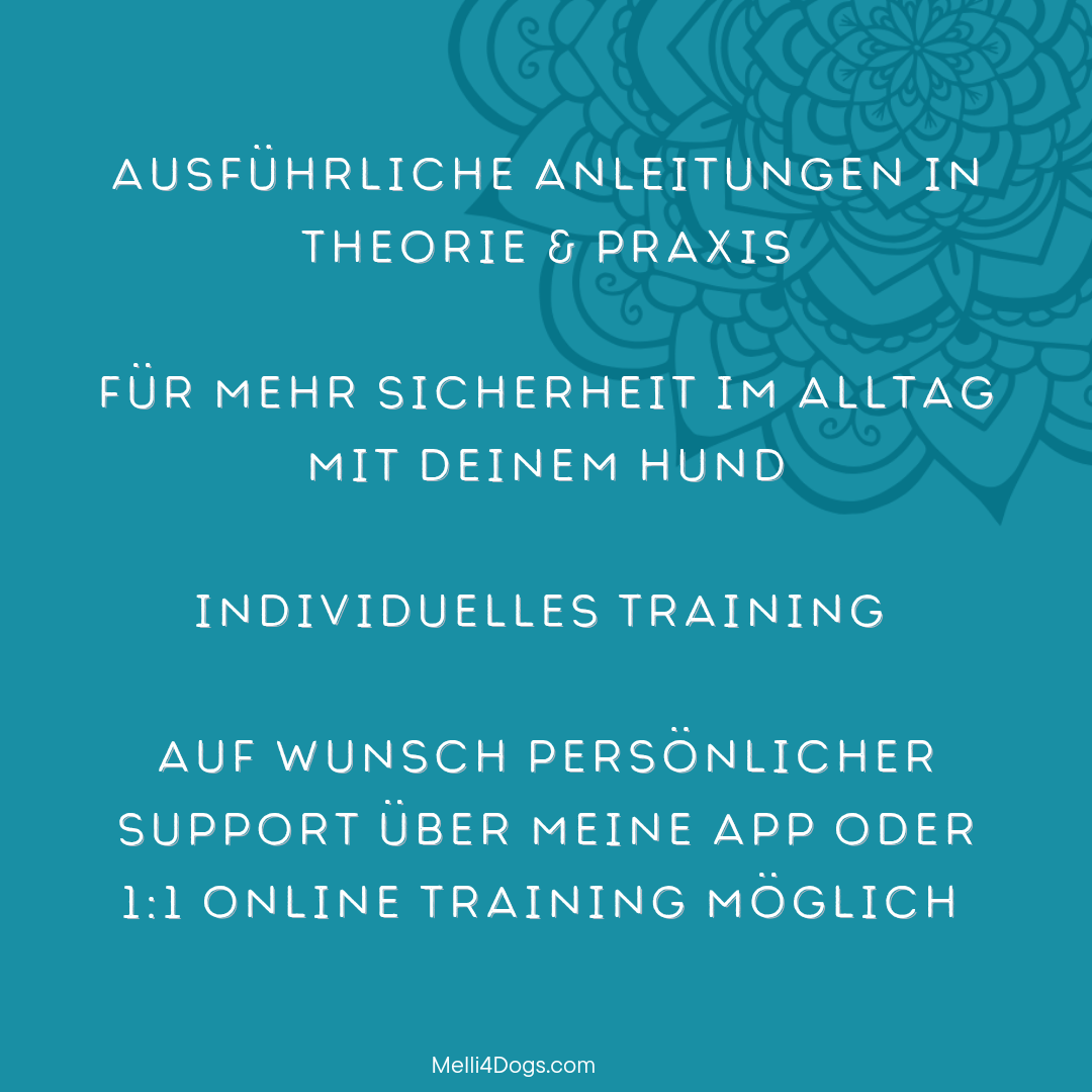 Anti-Giftköder-Kurs – Bild 2