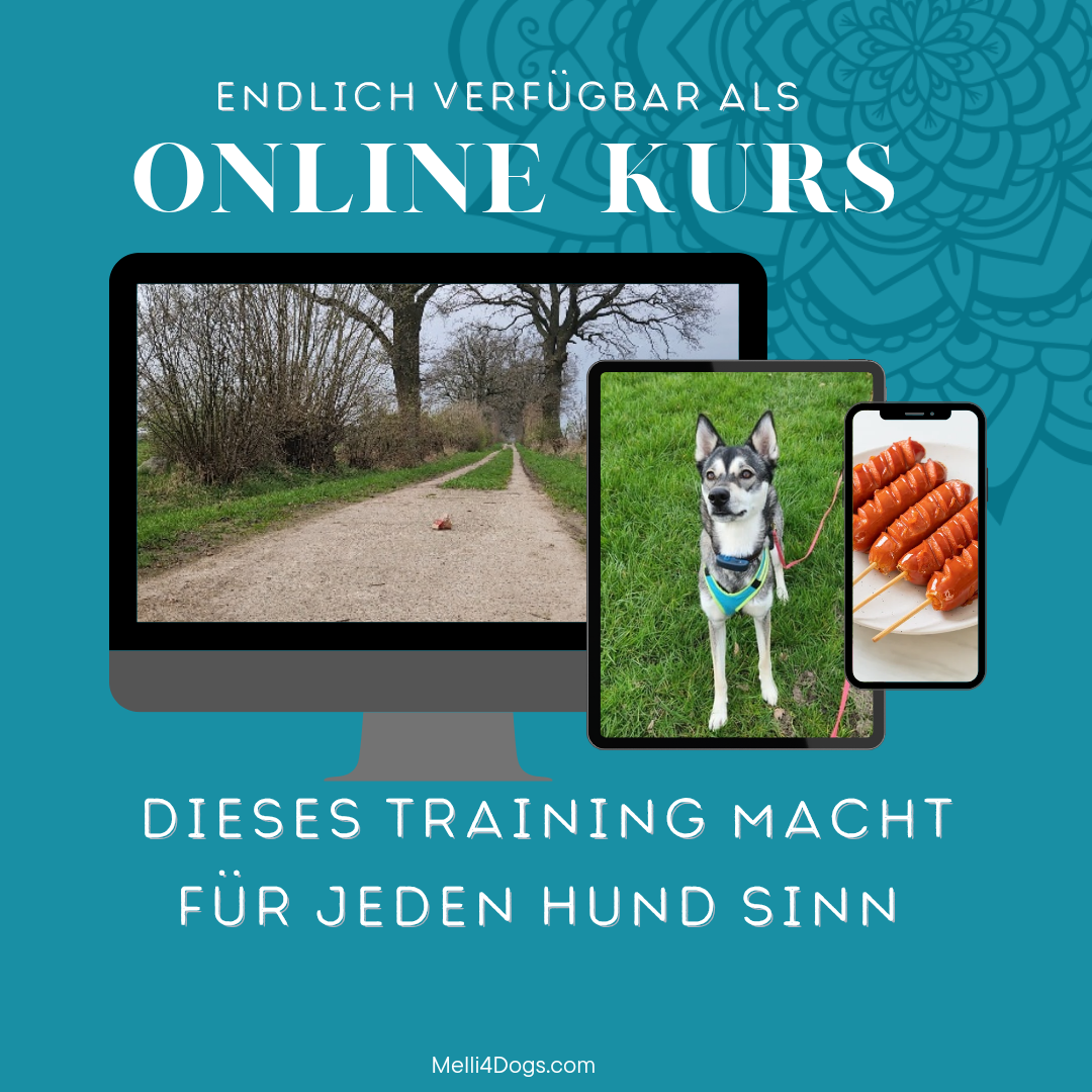 Anti-Giftköder-Kurs – Bild 3