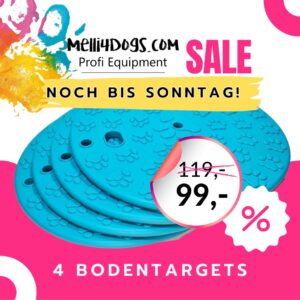 4 Bodentargets