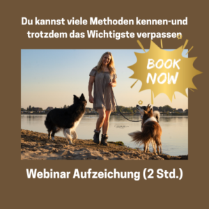 Mehr Durchblick im Hundetraining