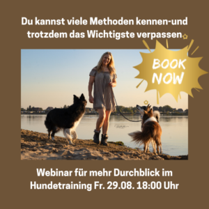 Mehr Durchblick im Hundetraining