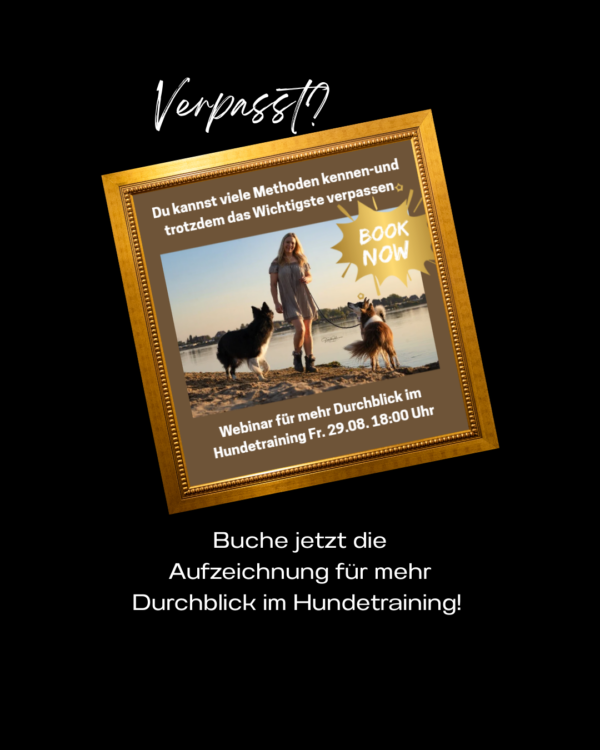 Mehr Durchblick im Hundetraining – Bild 5
