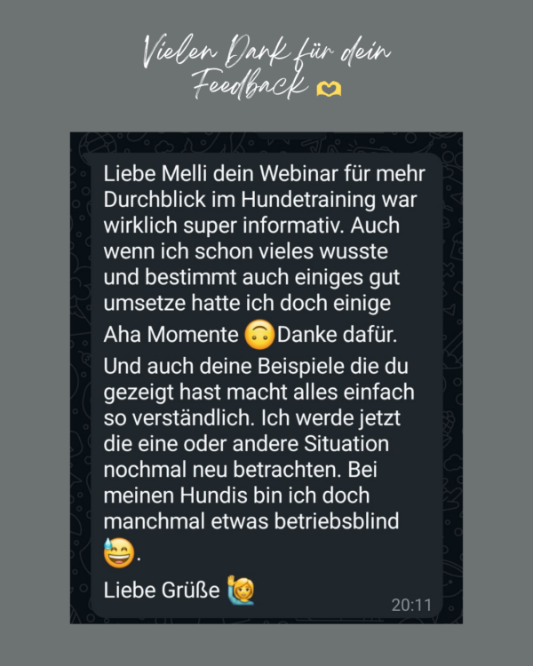 Mehr Durchblick im Hundetraining – Bild 7