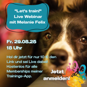 Mehr Durchblick im Hundetraining