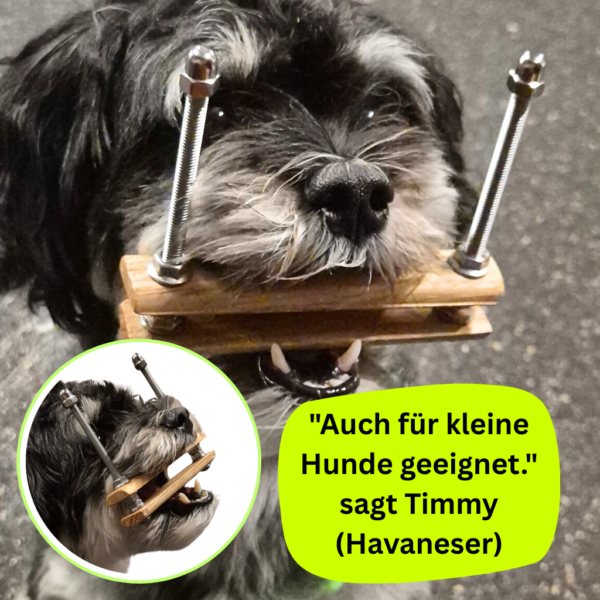 Zahnputzhilfe – Bild 5