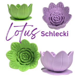 Lotus Schlecki