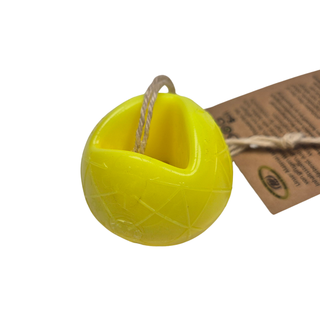 Moby Dog Ball – Bild 8