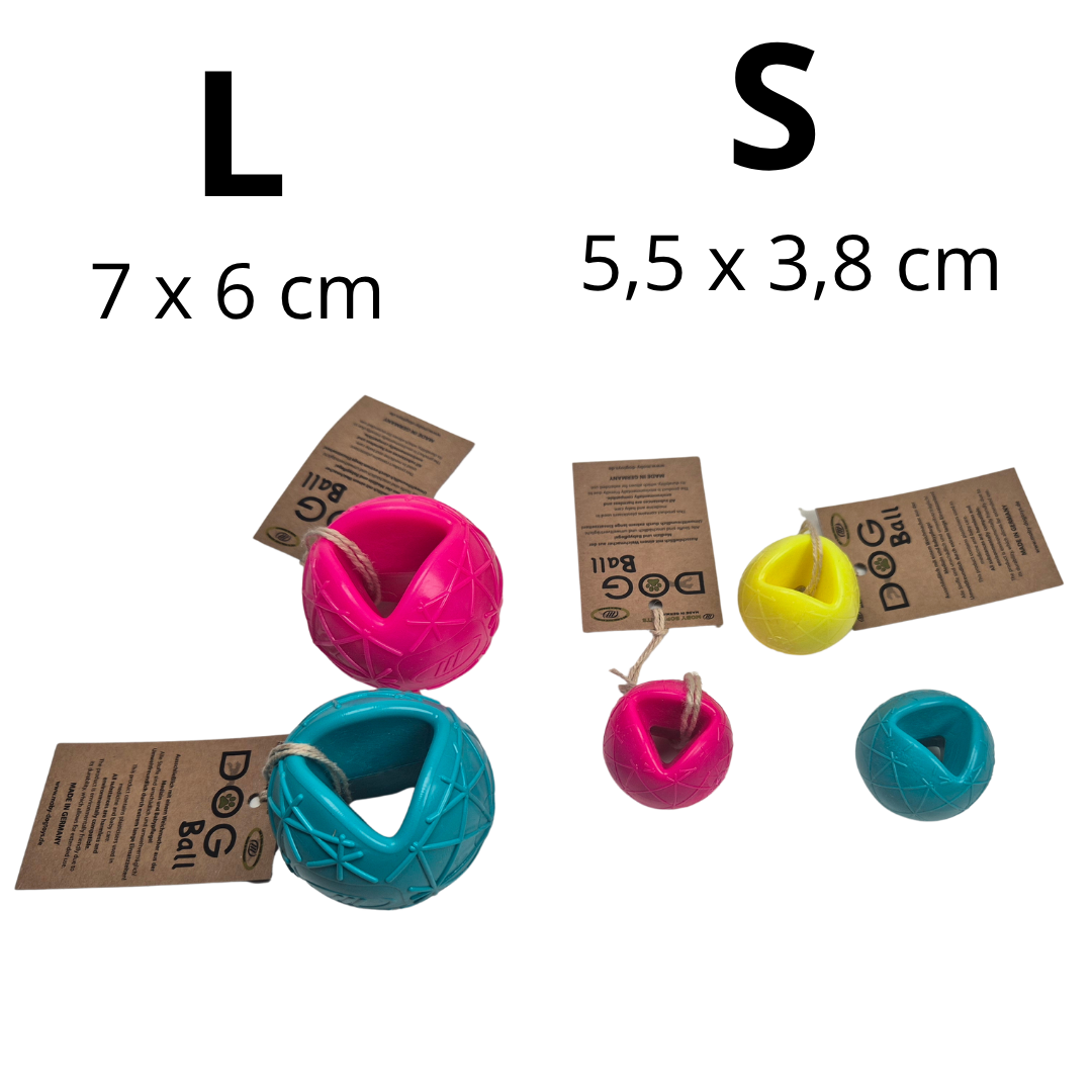 Moby Dog Ball – Bild 2