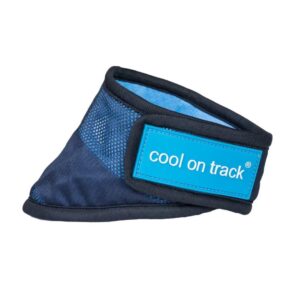 Cool on Track®️ Kühl-Bandana