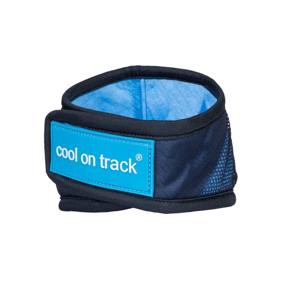 Cool on Track®️ Kühl-Bandana – Bild 5