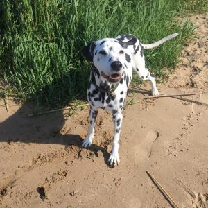 Apollo am Strand