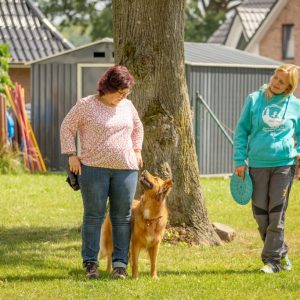 Einzeltraining