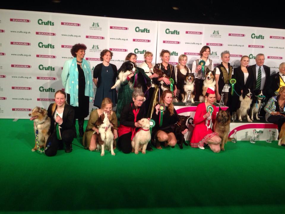 Dogdance CHOREO Seminar in Hoisdorf 24./25. Oktober 2026 – Bild 8