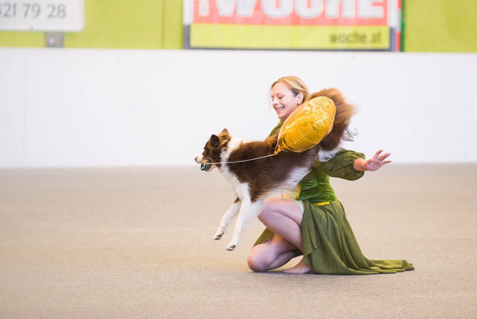 Dogdance CHOREO Seminar in Hoisdorf 24./25. Oktober 2026 – Bild 6