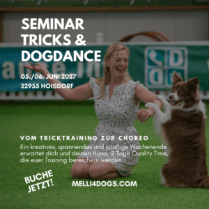 Dogdance Seminar in Hoisdorf 05./06. Juni 2027