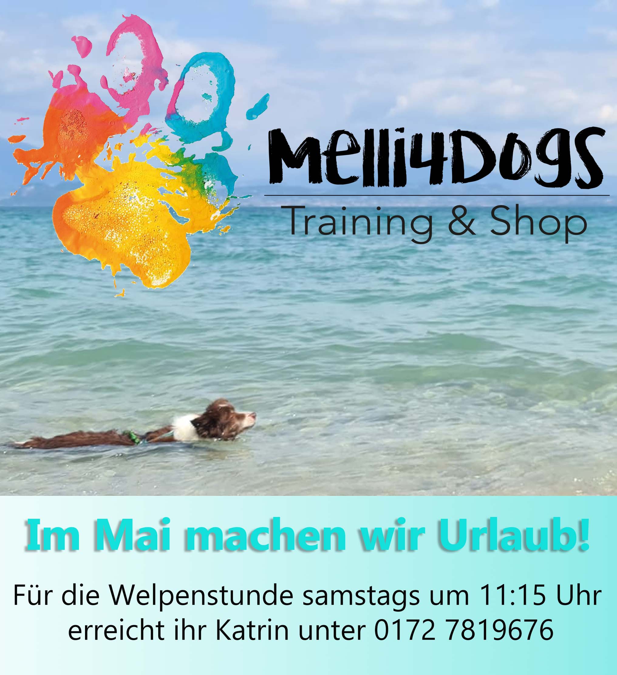 Melli4Dogs Training Mobil