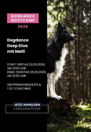 Dogdance Bootcamp 2026 – Bild 2