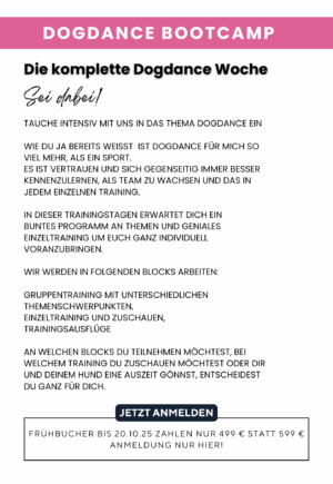 Dogdance Bootcamp 2026 – Bild 3