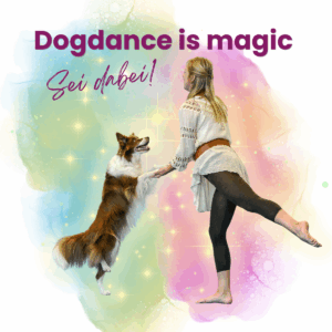 Dogdance Bootcamp 2027