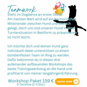 Dogdance Turniertraining Workshops – Bild 3