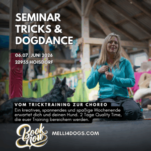 Dogdance Seminar in Hoisdorf 06./07. Juni 2026